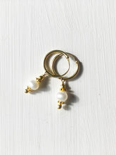 Lade das Bild in den Galerie-Viewer, Goldene Creolen aus Silber mit Süßwasserperlen online kaufen